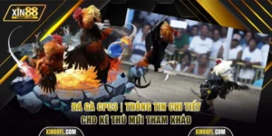 Đá gà CPC3